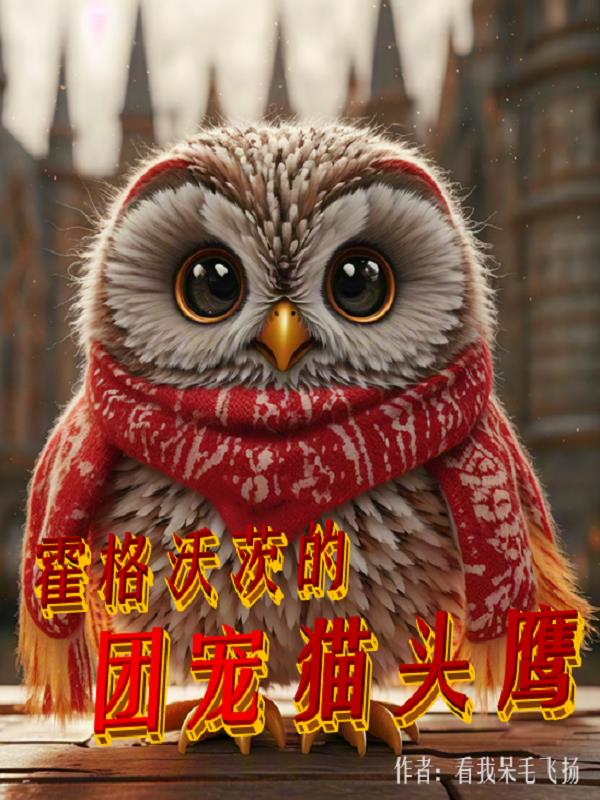 霍格沃茨的猫头鹰会送到中国吗?